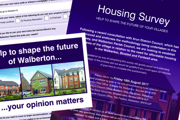 example of housing survey